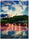 annualreport2013